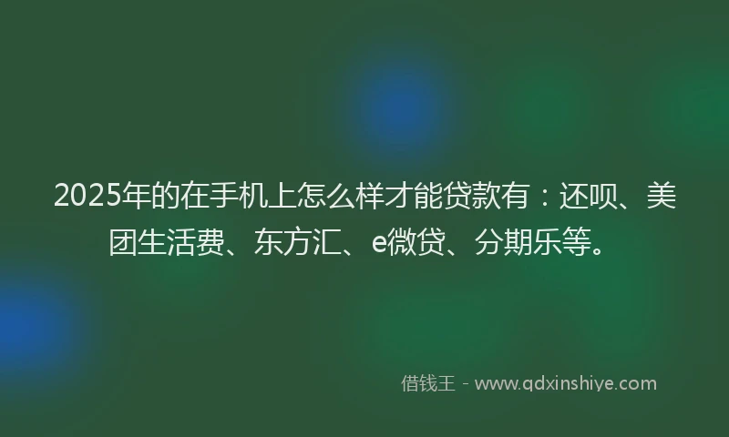 2025年的在手机上怎么样才能贷款有：还呗、美团生活费、东方汇、e微贷、分期乐等。