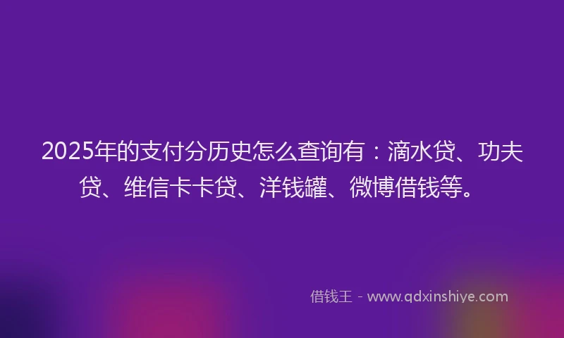 2025年的支付分历史怎么查询有：滴水贷、功夫贷、维信卡卡贷、洋钱罐、微博借钱等。