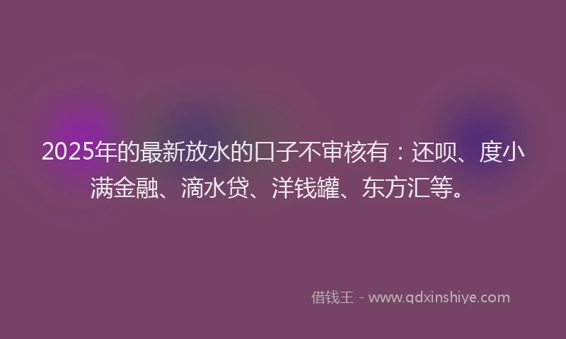 2025年的最新放水的口子不审核有：还呗、度小满金融、滴水贷、洋钱罐、东方汇等。