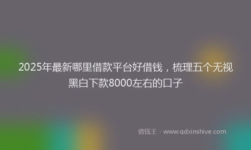 2025年最新哪里借款平台好借钱，梳理五个无视黑白下款8000左右的口子