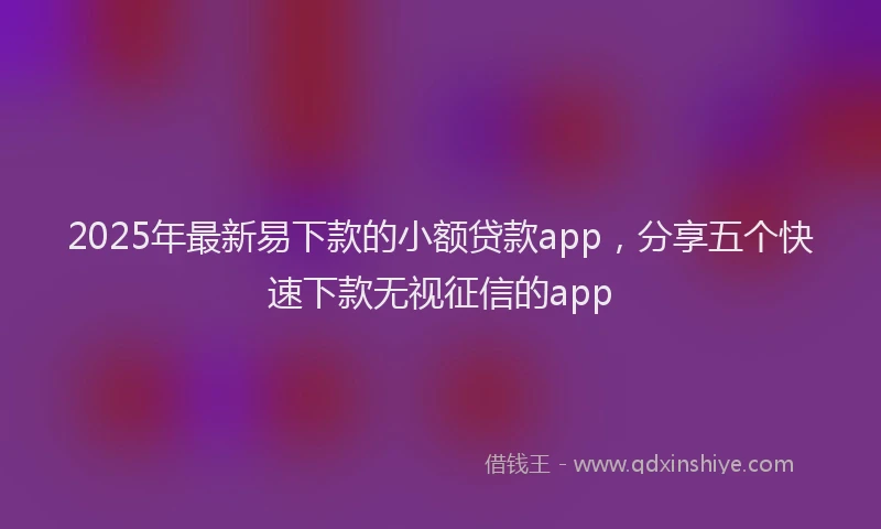 2025年最新易下款的小额贷款app，分享五个快速下款无视征信的app