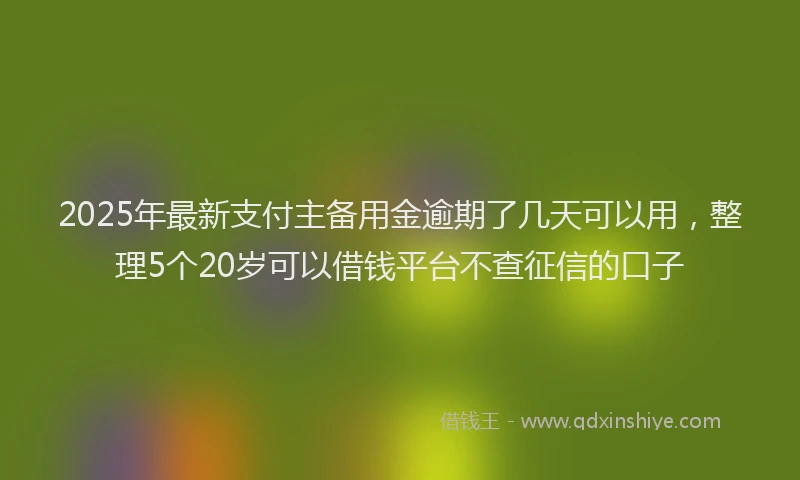 2025年最新支付主备用金逾期了几天可以用，整理5个20岁可以借钱平台不查征信的口子