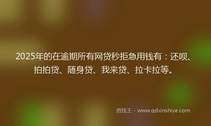 2025年的在逾期所有网贷秒拒急用钱有：还呗、拍拍贷、随身贷、我来贷、拉卡拉等。