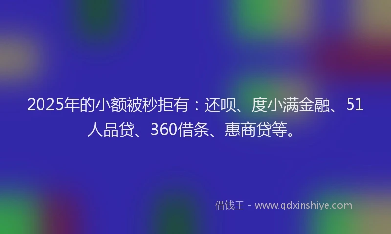 2025年的小额被秒拒有：还呗、度小满金融、51人品贷、360借条、惠商贷等。