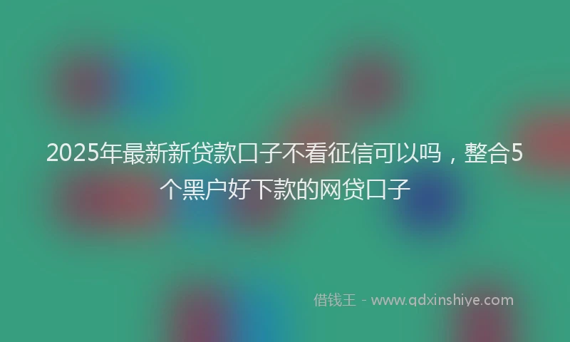 2025年最新新贷款口子不看征信可以吗，整合5个黑户好下款的网贷口子