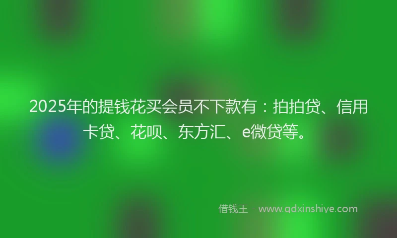 2025年的提钱花买会员不下款有：拍拍贷、信用卡贷、花呗、东方汇、e微贷等。