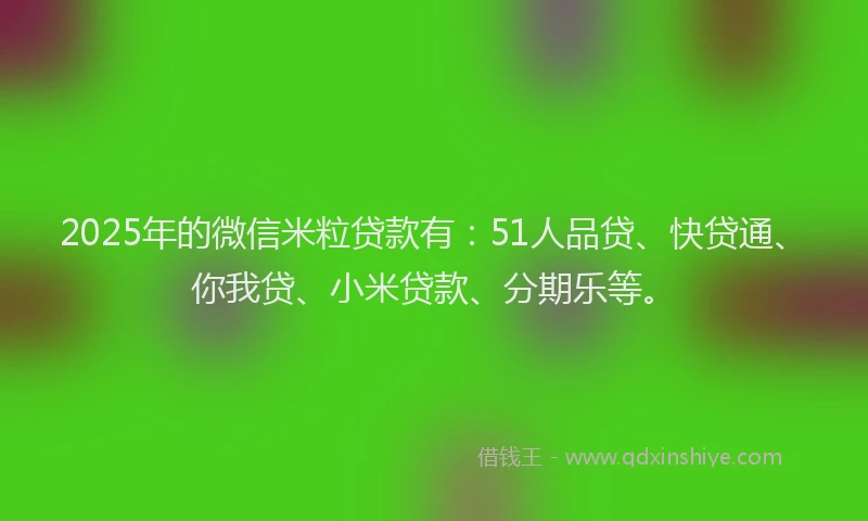 2025年的微信米粒贷款有：51人品贷、快贷通、你我贷、小米贷款、分期乐等。