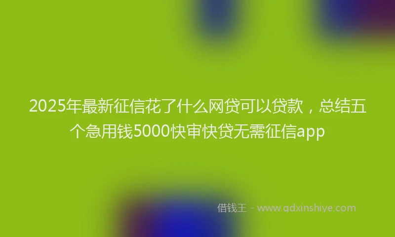 2025年最新征信花了什么网贷可以贷款，总结五个急用钱5000快审快贷无需征信app