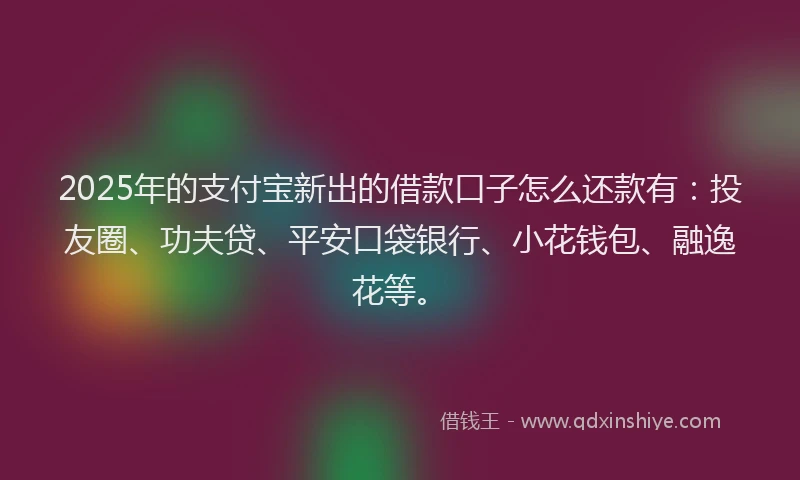 2025年的支付宝新出的借款口子怎么还款有：投友圈、功夫贷、平安口袋银行、小花钱包、融逸花等。