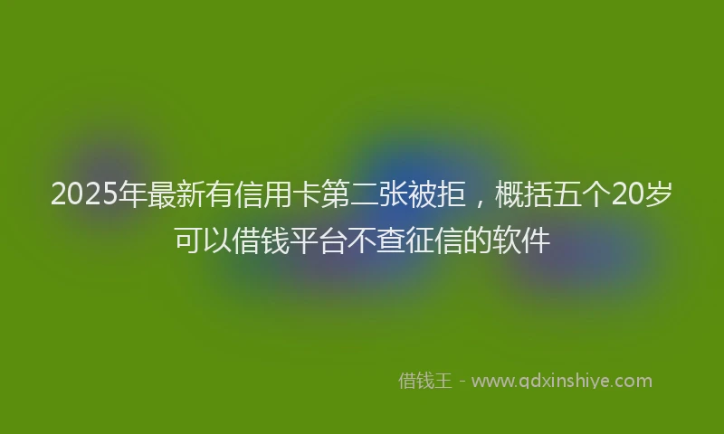 2025年最新有信用卡第二张被拒，概括五个20岁可以借钱平台不查征信的软件