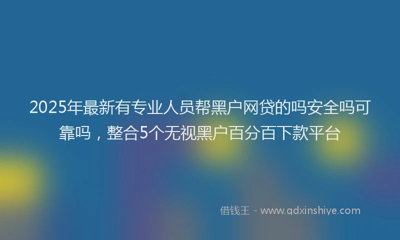 2025年最新有专业人员帮黑户网贷的吗安全吗可靠吗，整合5个无视黑户百分百下款平台