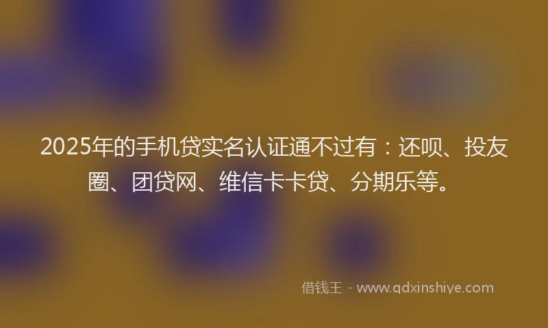 2025年的手机贷实名认证通不过有：还呗、投友圈、团贷网、维信卡卡贷、分期乐等。