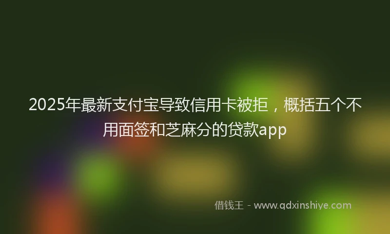 2025年最新支付宝导致信用卡被拒，概括五个不用面签和芝麻分的贷款app