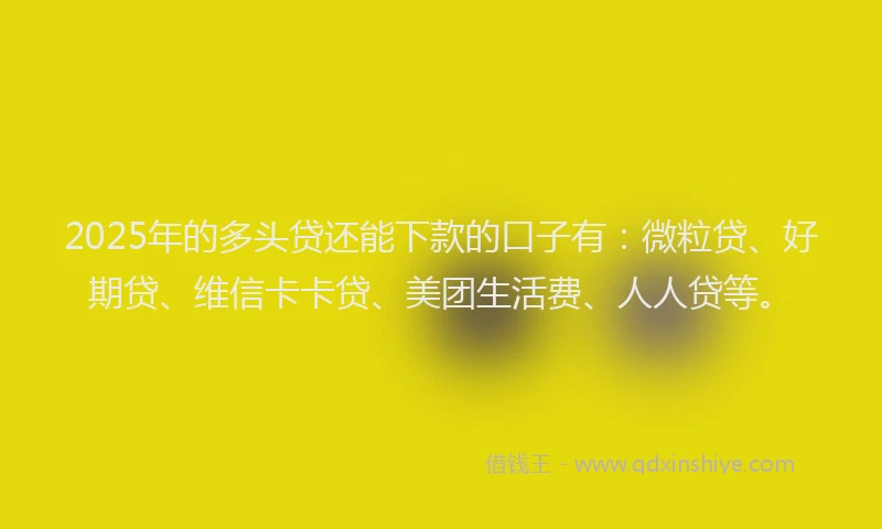 2025年的多头贷还能下款的口子有：微粒贷、好期贷、维信卡卡贷、美团生活费、人人贷等。