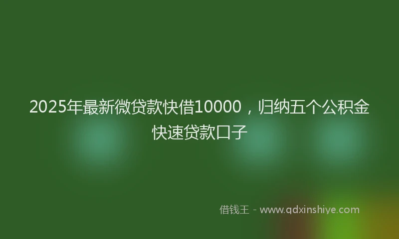 2025年最新微贷款快借10000，归纳五个公积金快速贷款口子