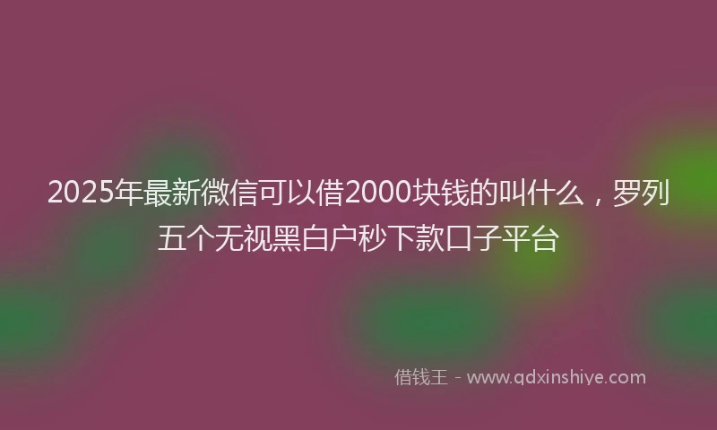 2025年最新微信可以借2000块钱的叫什么，罗列五个无视黑白户秒下款口子平台