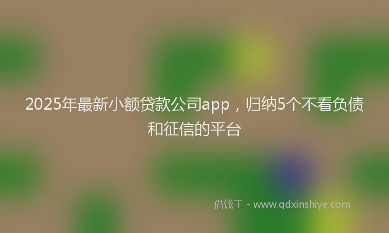 2025年最新小额贷款公司app，归纳5个不看负债和征信的平台