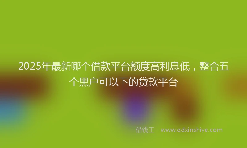 2025年最新哪个借款平台额度高利息低，整合五个黑户可以下的贷款平台