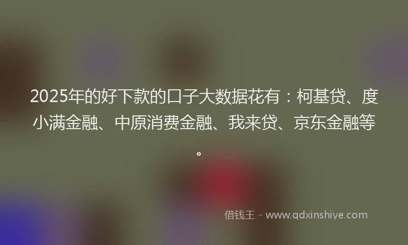 2025年的好下款的口子大数据花有：柯基贷、度小满金融、中原消费金融、我来贷、京东金融等。