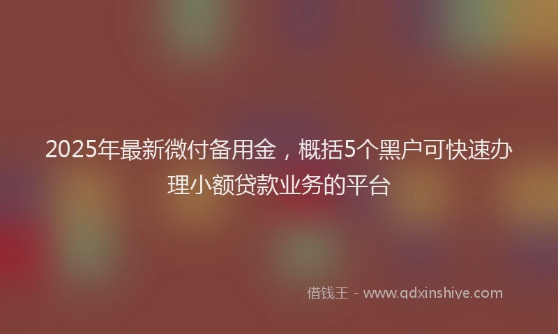 2025年最新微付备用金，概括5个黑户可快速办理小额贷款业务的平台