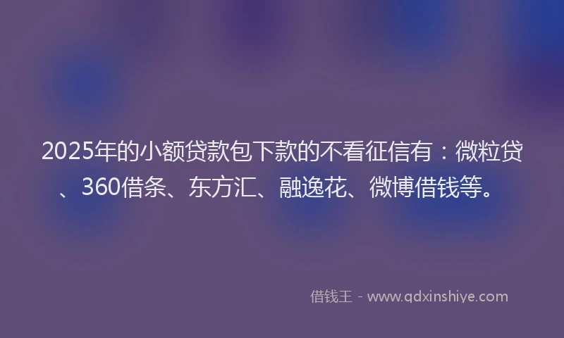 2025年的小额贷款包下款的不看征信有：微粒贷、360借条、东方汇、融逸花、微博借钱等。