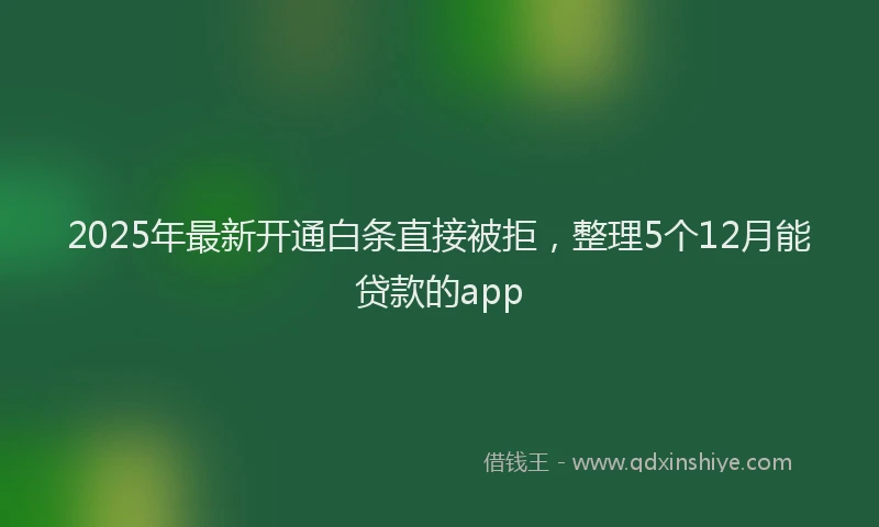 2025年最新开通白条直接被拒，整理5个12月能贷款的app
