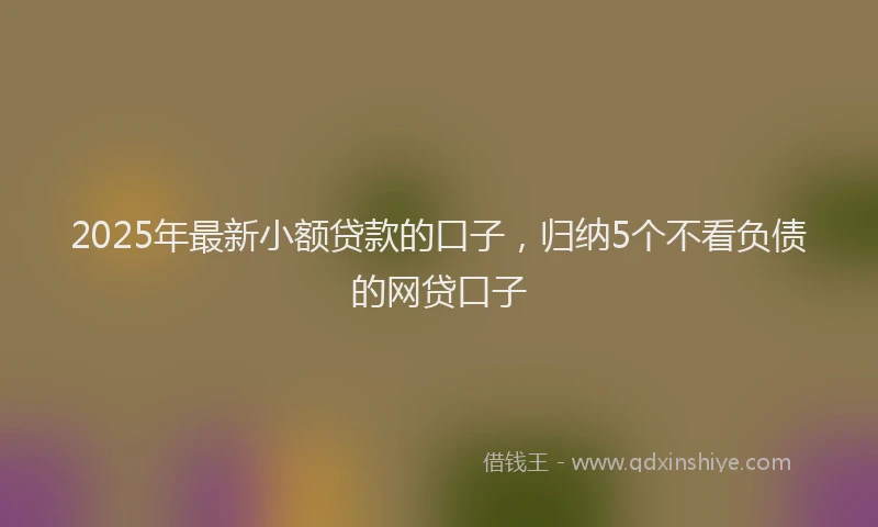 2025年最新小额贷款的口子，归纳5个不看负债的网贷口子
