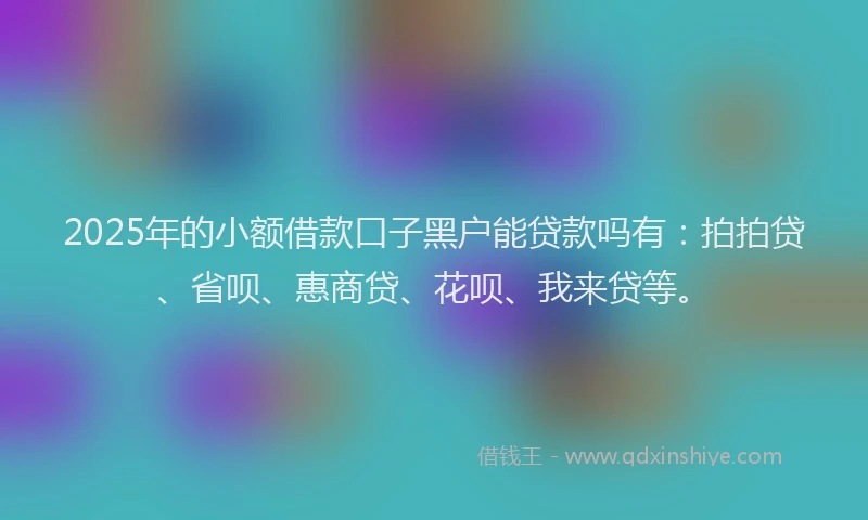 2025年的小额借款口子黑户能贷款吗有：拍拍贷、省呗、惠商贷、花呗、我来贷等。