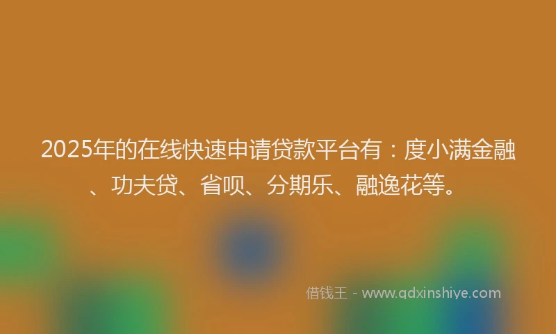 2025年的在线快速申请贷款平台有：度小满金融、功夫贷、省呗、分期乐、融逸花等。