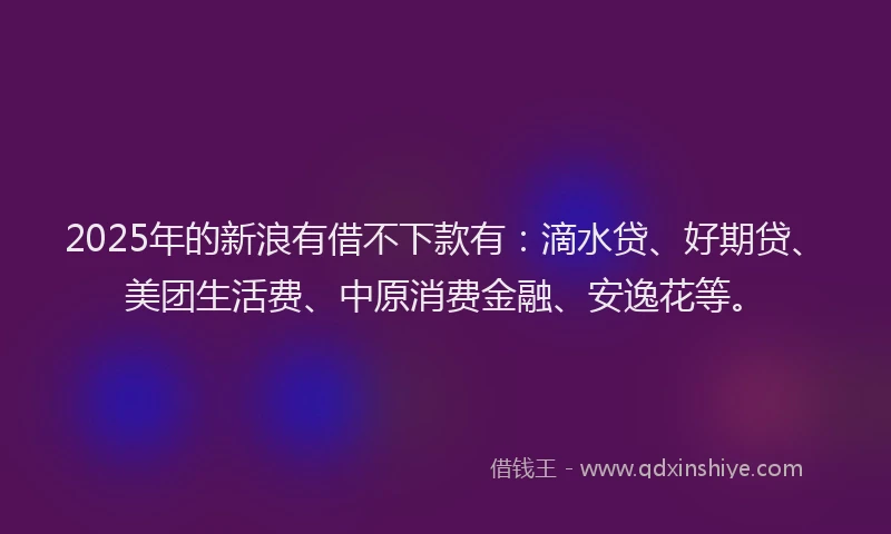 2025年的新浪有借不下款有：滴水贷、好期贷、美团生活费、中原消费金融、安逸花等。