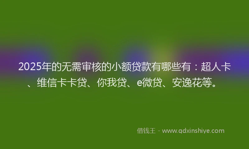 2025年的无需审核的小额贷款有哪些有：超人卡、维信卡卡贷、你我贷、e微贷、安逸花等。