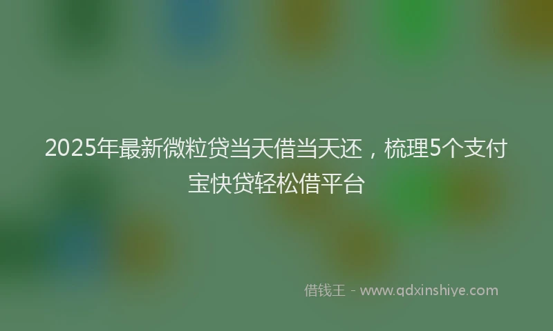 2025年最新微粒贷当天借当天还，梳理5个支付宝快贷轻松借平台