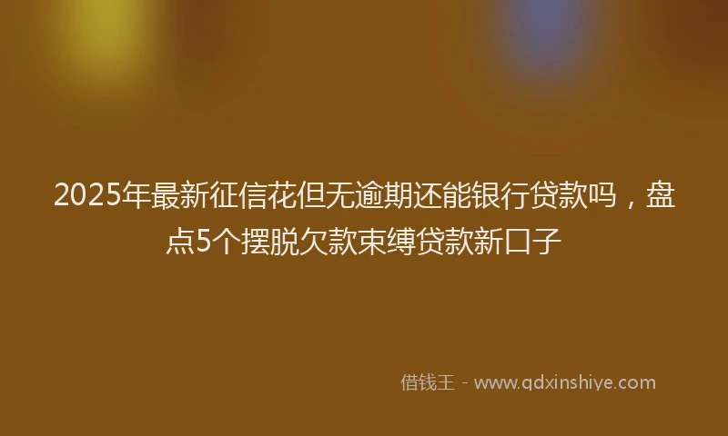 2025年最新征信花但无逾期还能银行贷款吗，盘点5个摆脱欠款束缚贷款新口子