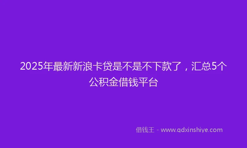 2025年最新新浪卡贷是不是不下款了，汇总5个公积金借钱平台