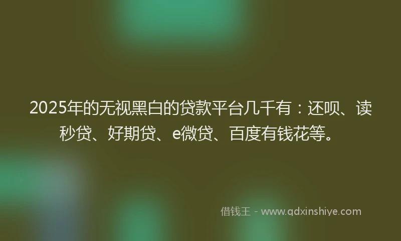 2025年的无视黑白的贷款平台几千有：还呗、读秒贷、好期贷、e微贷、百度有钱花等。