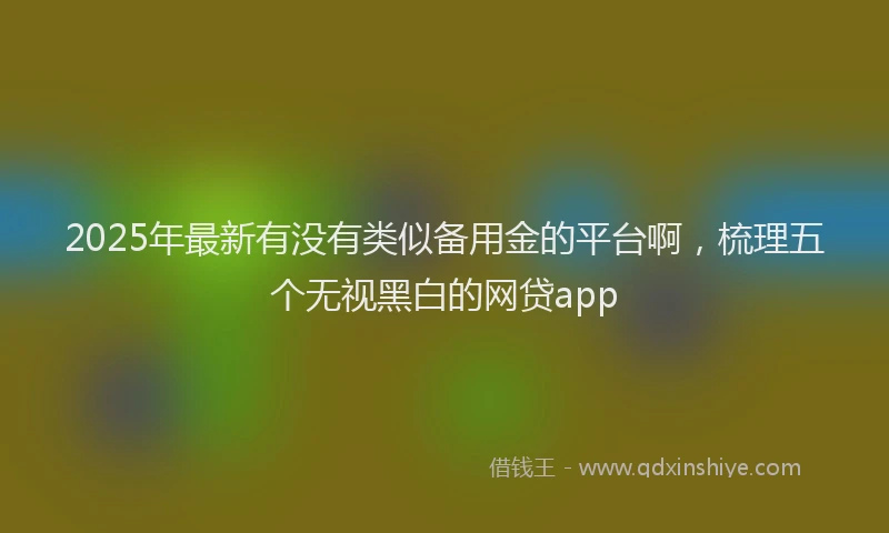 2025年最新有没有类似备用金的平台啊，梳理五个无视黑白的网贷app