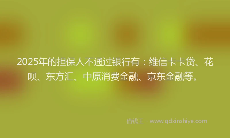 2025年的担保人不通过银行有：维信卡卡贷、花呗、东方汇、中原消费金融、京东金融等。