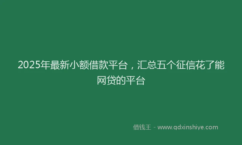 2025年最新小额借款平台，汇总五个征信花了能网贷的平台