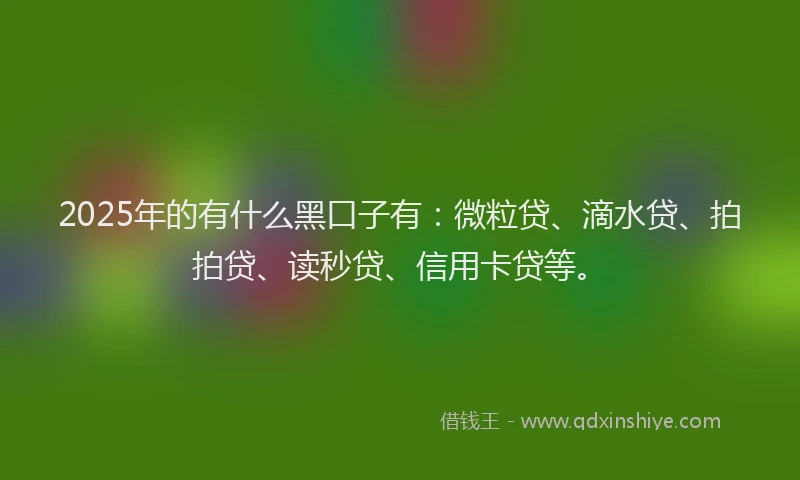2025年的有什么黑口子有：微粒贷、滴水贷、拍拍贷、读秒贷、信用卡贷等。
