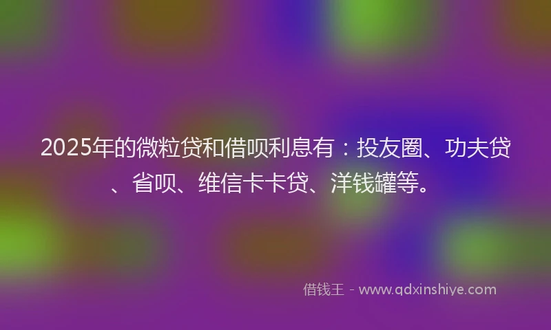 2025年的微粒贷和借呗利息有：投友圈、功夫贷、省呗、维信卡卡贷、洋钱罐等。