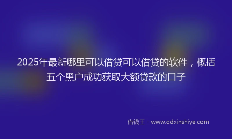 2025年最新哪里可以借贷可以借贷的软件，概括五个黑户成功获取大额贷款的口子