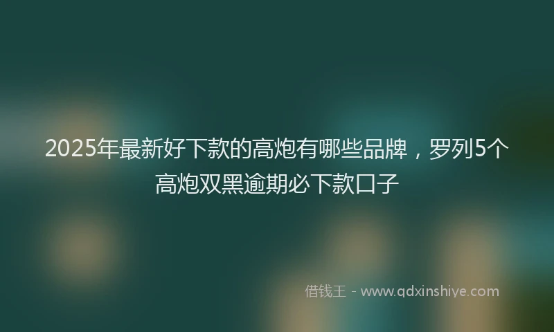 2025年最新好下款的高炮有哪些品牌，罗列5个高炮双黑逾期必下款口子