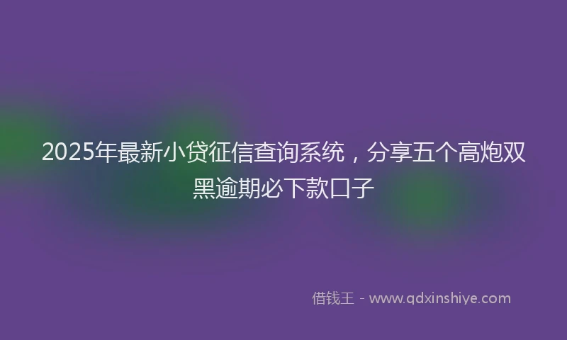 2025年最新小贷征信查询系统，分享五个高炮双黑逾期必下款口子