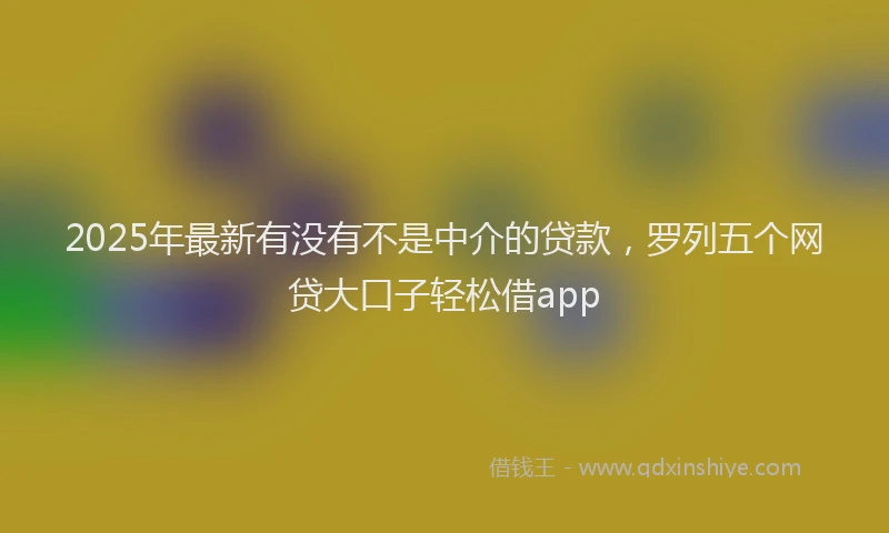 2025年最新有没有不是中介的贷款，罗列五个网贷大口子轻松借app