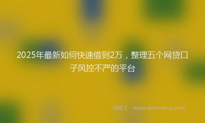 2025年最新如何快速借到2万，整理五个网贷口子风控不严的平台