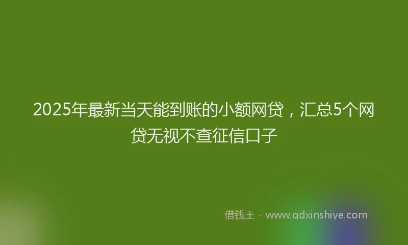 2025年最新当天能到账的小额网贷，汇总5个网贷无视不查征信口子