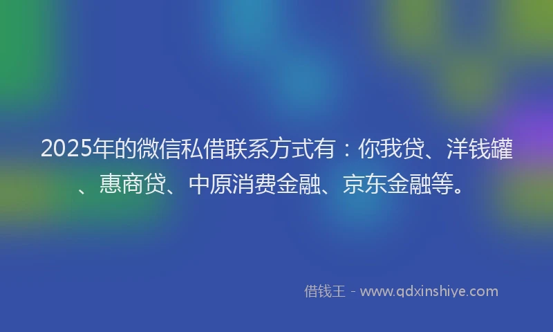2025年的微信私借联系方式有：你我贷、洋钱罐、惠商贷、中原消费金融、京东金融等。