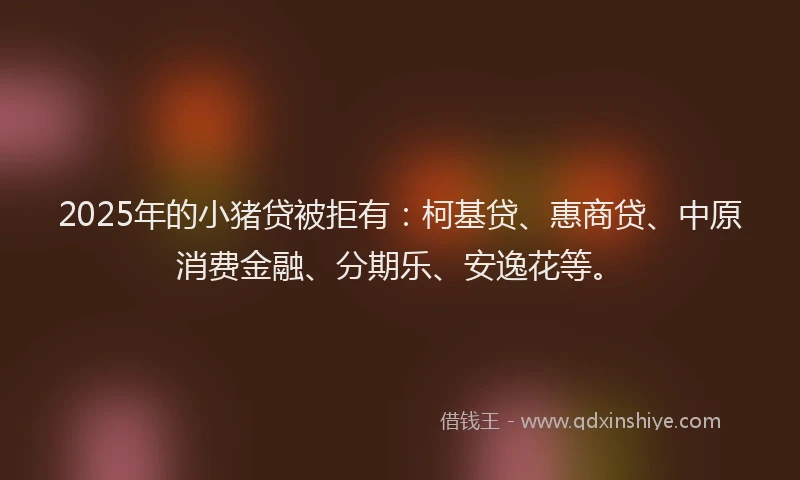 2025年的小猪贷被拒有：柯基贷、惠商贷、中原消费金融、分期乐、安逸花等。