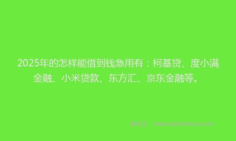 2025年的怎样能借到钱急用有：柯基贷、度小满金融、小米贷款、东方汇、京东金融等。