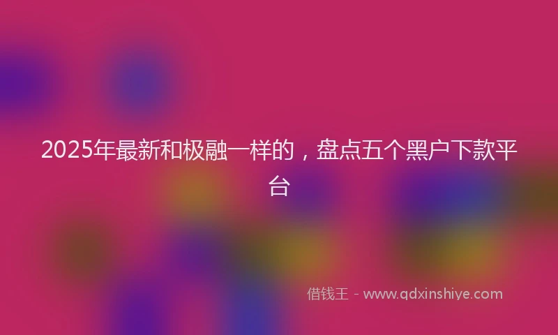 2025年最新和极融一样的，盘点五个黑户下款平台